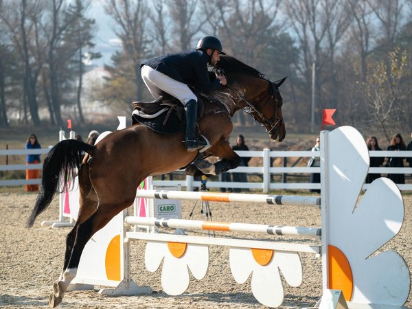 Devenir arbitre en boxe anglaise : le chemin à suivre